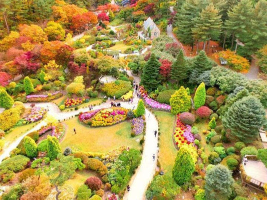 Wooden Fence - My Perfect Rose Garden