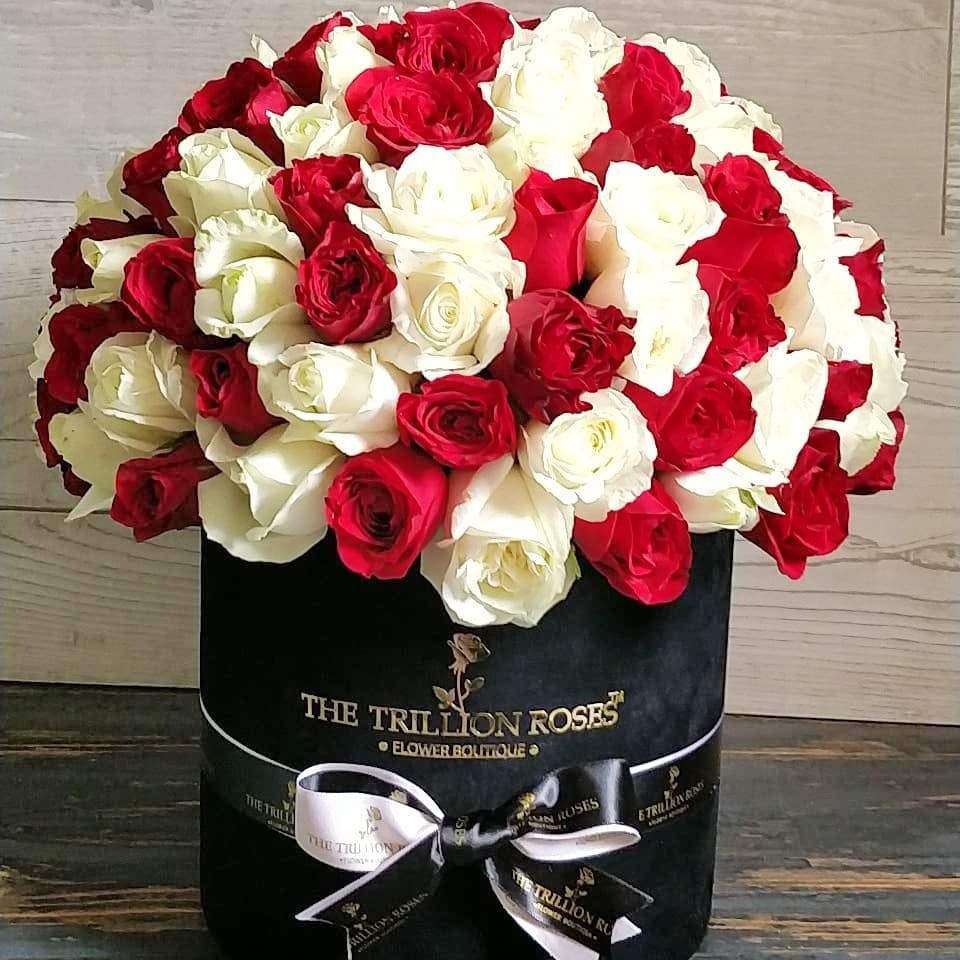 Black Beanbag - My Perfect Rose Garden 