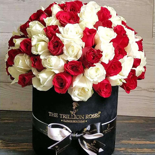 Black Beanbag - My Perfect Rose Garden 