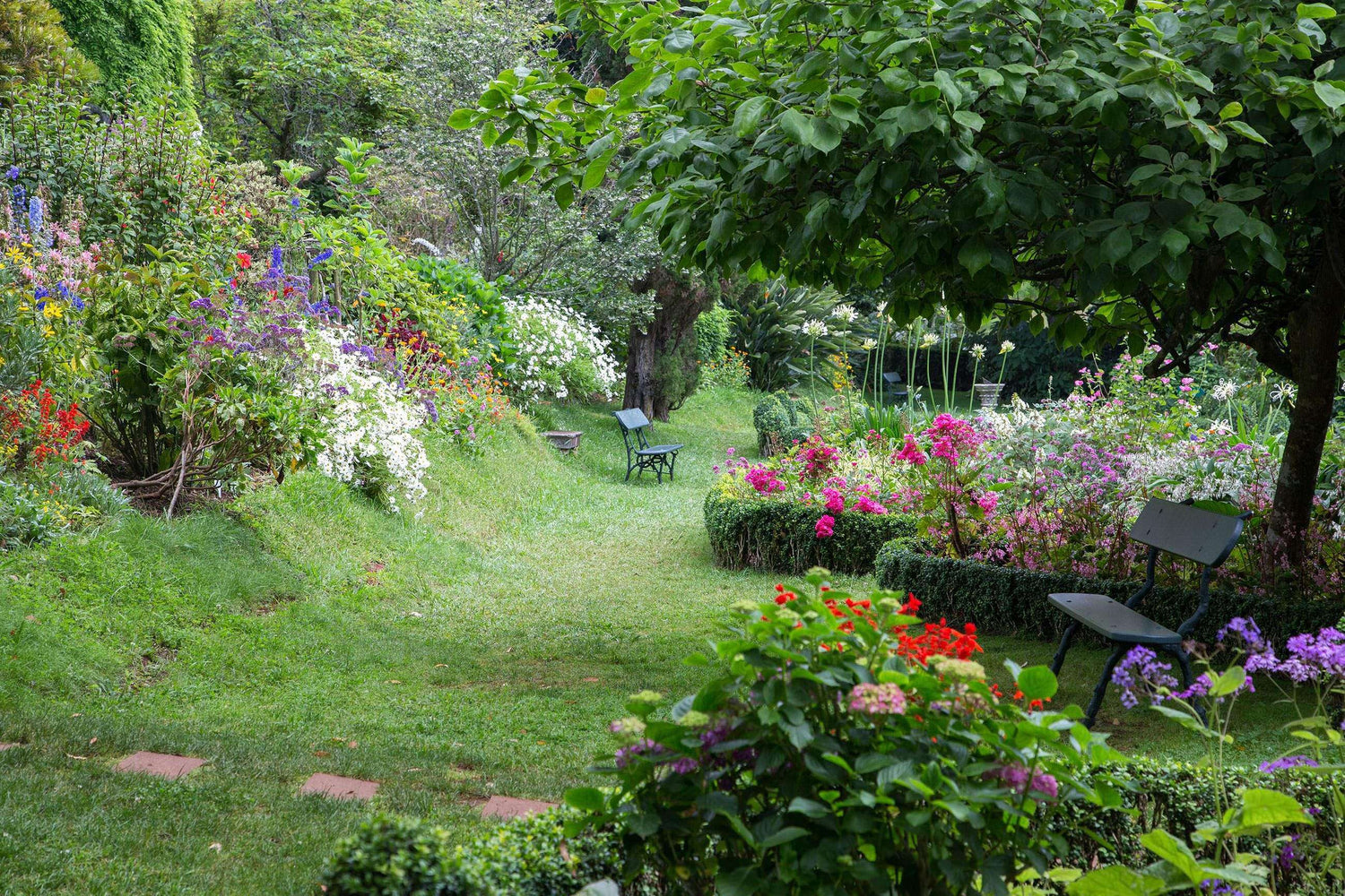 Wooden outdoor slats - My Perfect Rose Garden 