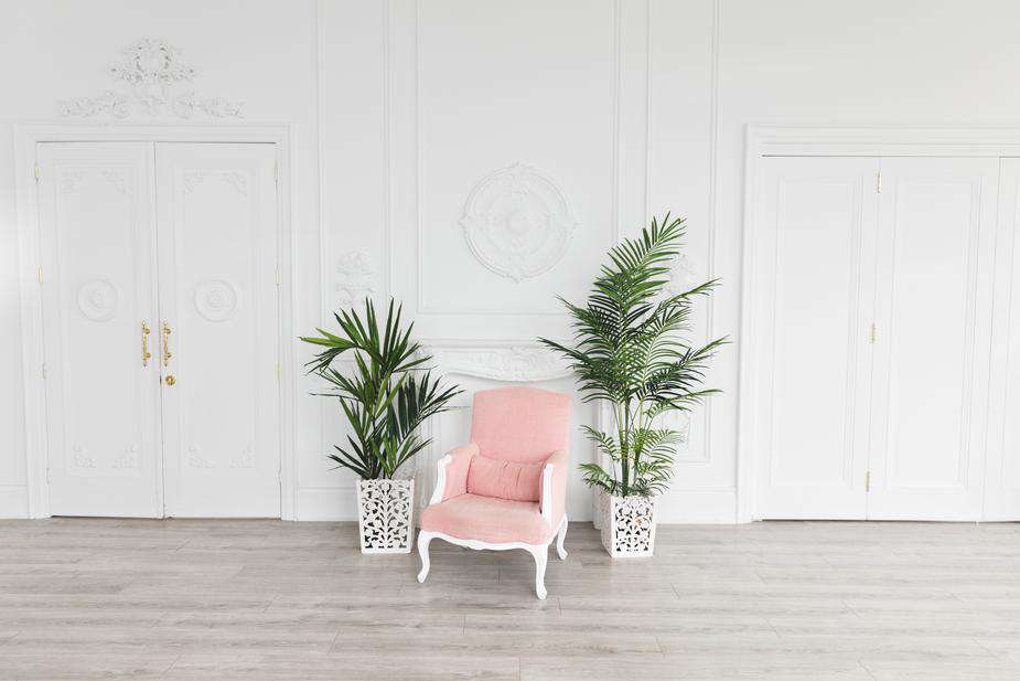 Pink Armchair - My Perfect Rose Garden 